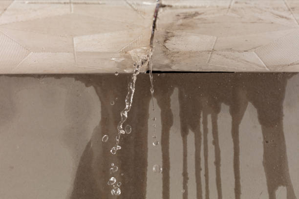 Professional Water Damage Restoration technician working in Kirkman, IA